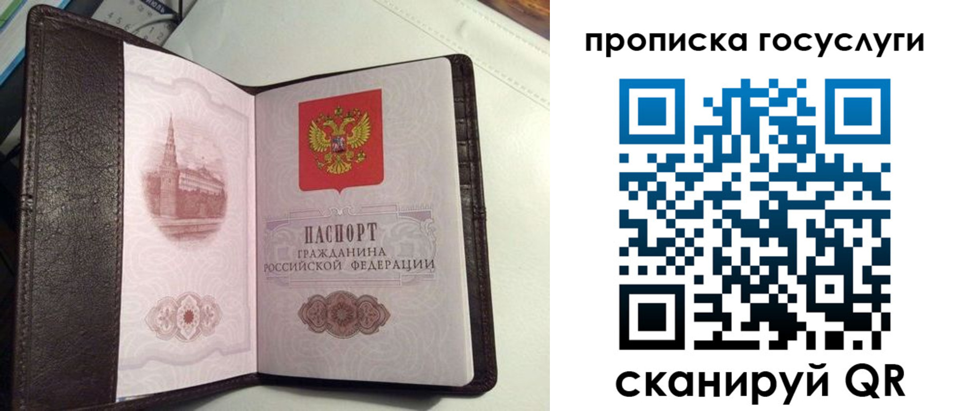 временная прописка в Кушве